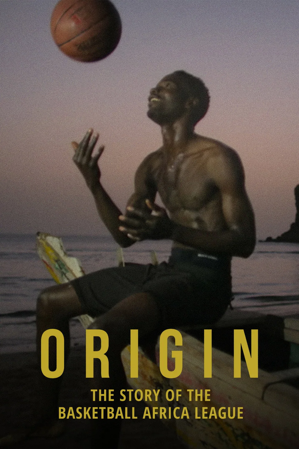Origin: The Story of the Basketball Africa League